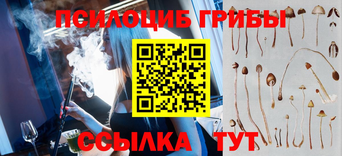 Псилоцибиновые грибы Psilocybine cubensis  Вход с VPN  Галлюциногенные грибы мицелий  Ахтубинск 