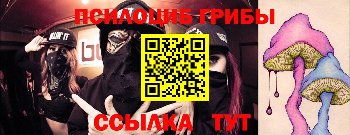 Псилоцибиновые грибы GOLDEN TEACHER Ахтубинск